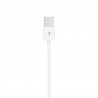Type-C Earphone + Charging Audio Cable