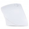 36W UV LED Nail Lamp