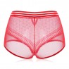 Plus Size High Waist Tummy Control Hollow Lace Panties