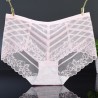 Sexy See Through Mesh Seamless Breathable Mid Waist Panties