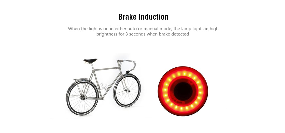 Xlite100 Bicycle Intelligent Induction Brake Lights USB Charging Night Taillights- Black Seat tube Xlite100 Bicycle Intelligent Induction Brake Lights USB Charging Night Taillights- Black Seat tube