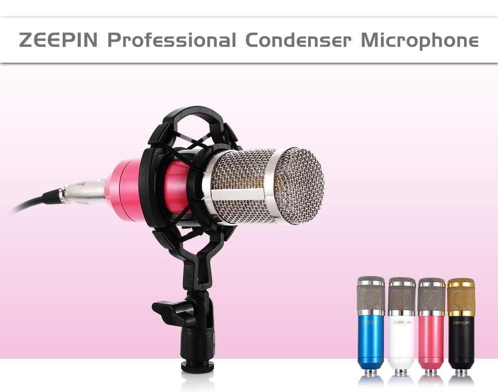 ZEEPIN BM - 800 Professional Condenser Microphone Studio Broadcasting Recording- Black ZEEPIN BM - 800 Professional Condenser Microphone Studio Broadcasting Recording- Black