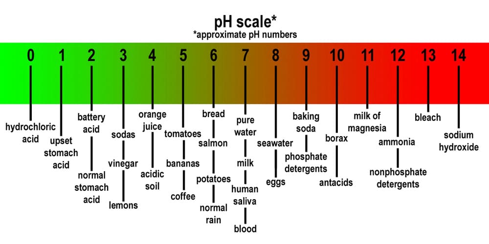pH-961 pH Test Pen / Meter- Silver pH-961 pH Test Pen / Meter- Silver